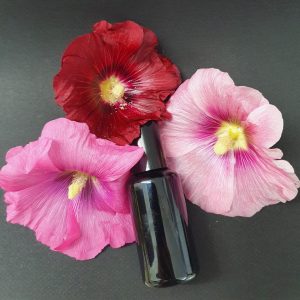 COSMÉTIQUES