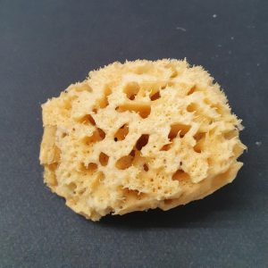 Eponge naturelle de mer Méditerranée
