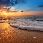 SABLE NATUREL